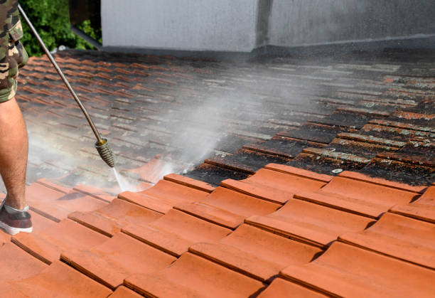 Why Choose Our Certified Pressure Washing Experts for Your Project Needs in Panora, IA?