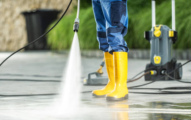 Best Deck Cleaning Services  in Panora, IA