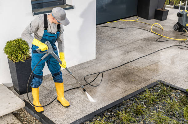 Best Roof Pressure Washing  in Panora, IA