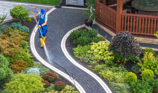 Best Best Pressure Washing Companies  in Panora, IA
