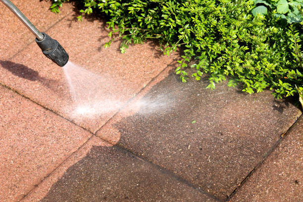 Best Pressure Washing Near Me  in Panora, IA